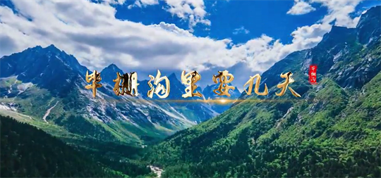 7.png